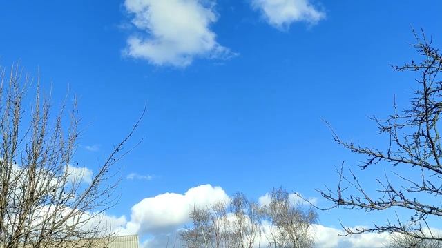 Особенный тип женщин, о расставании с которыми мужчины жалеют больше всего. смотреть онлайн