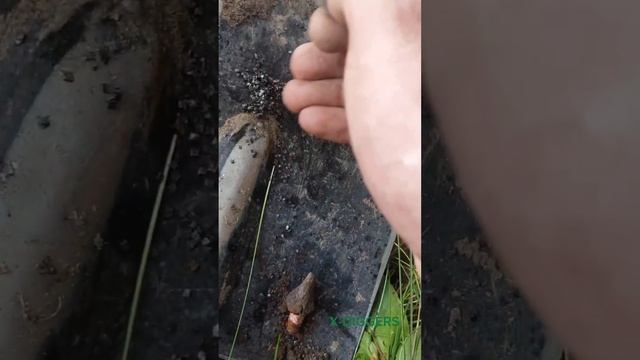 Как горит порох из старого патрона