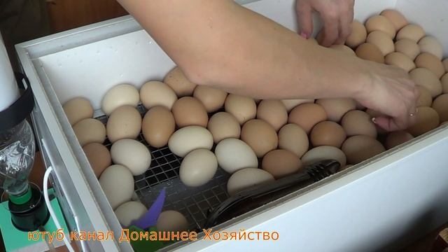 ВЛОГ//А ВЫ БУДЕТЕ К ЛОГОПЕДУ ХОДИТЬ