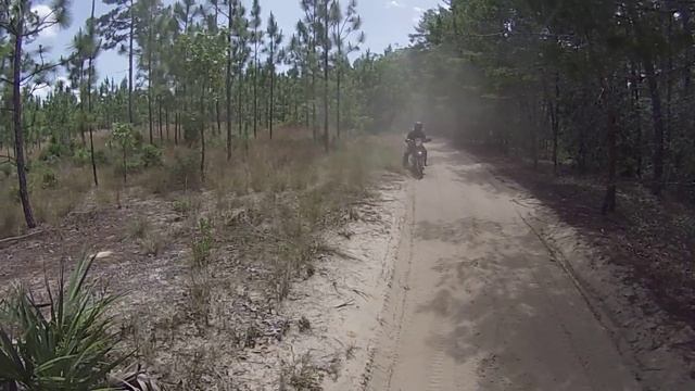 Kawaski Super Sherpa dual sport crashes in Ocala National Forest смотреть онлайн