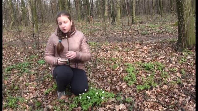Маслянчук Софія «Всеукраїнська інтернет олімпіада «Крок до знань 2016» смотреть онлайн