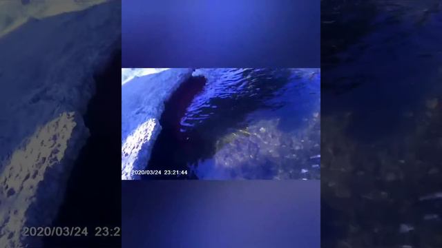 На речке под мостом (снимаю под водой) Видос с экшенкой под водой) смотреть онлайн