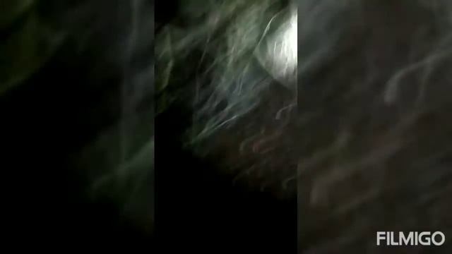 борьба с ястребом лучшый способ ?не нужно травить птицу смотреть онлайн
