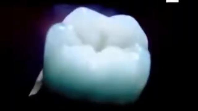 Провокатор Вся правда о зубной пасте смотреть онлайн