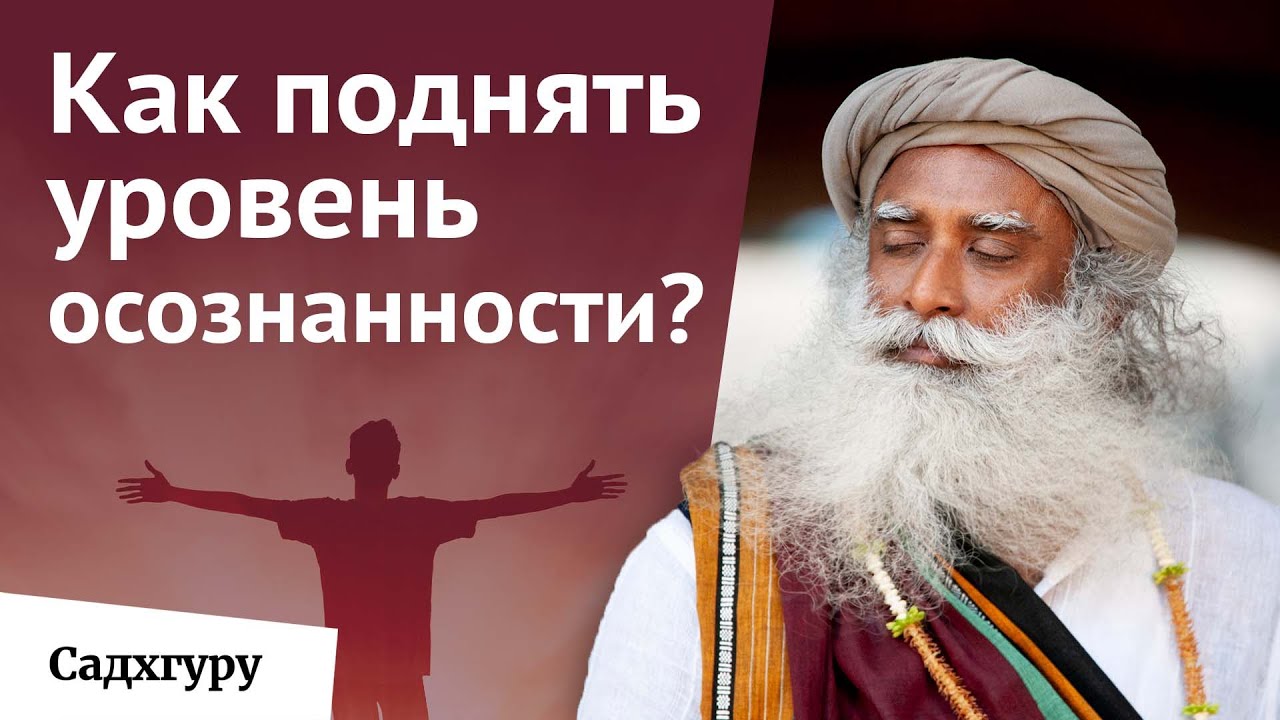 Управляй своей жизнью без усилий смотреть онлайн