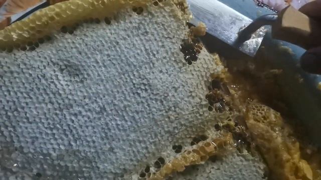 Электрический нож для пасеки смотреть онлайн