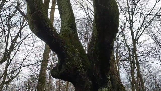 Коп! Серебро из барсучьей норы!!! открыл сезон 2022. Metal detecting. смотреть онлайн