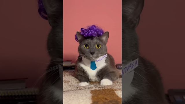 КОТИКИ В ШКОЛЕ - ИГРА 4 серия смотреть онлайн