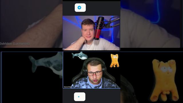 Как скоро мы забудем программирование #djangoschool #программирование #it #разработка #webdev смотреть онлайн