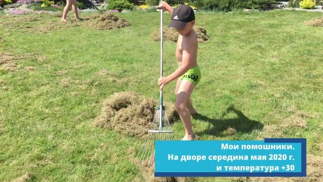 Мульчируем клубнику газонной травой смотреть онлайн