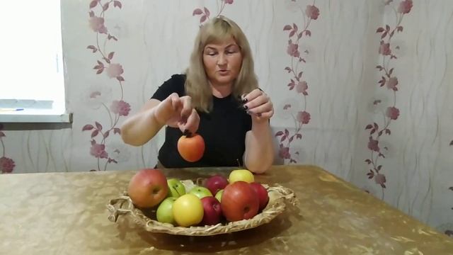 Какие сорта яблок лучше сажать? | Эти сорта сажают агрономы | Чемпион, Голден, Фуджи, Симиренко... смотреть онлайн