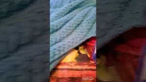 В ГОСТЯХ У ЕЛЕНЫ❄❄❄ 👩🌹вяжем кофту передние полочки