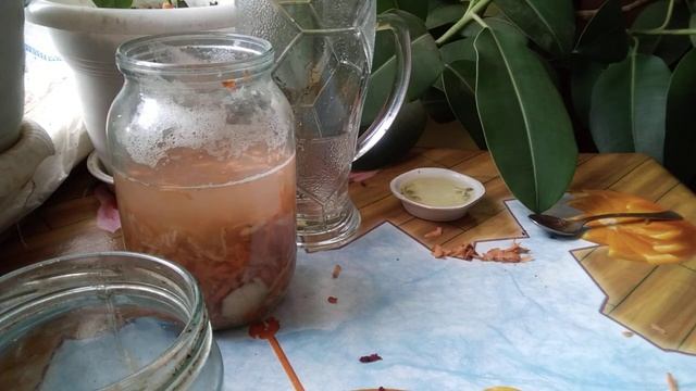 Витаминная подкормка зимой комнатных растений. смотреть онлайн