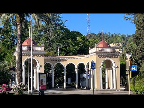 Ботанический сад в Сухуме смотреть онлайн