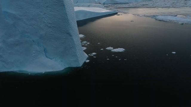 18 Интересных Фактов о Белом Медведе смотреть онлайн