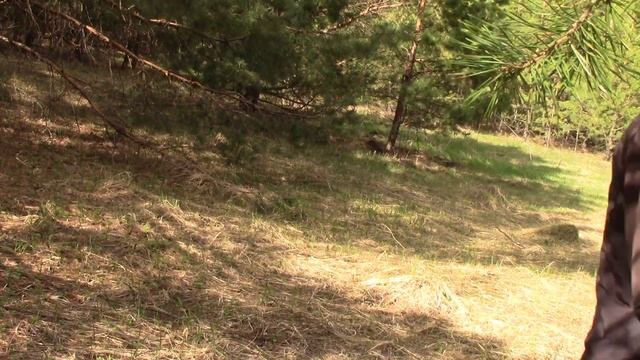 Металлокоп лемеха,отвала,траки! смотреть онлайн