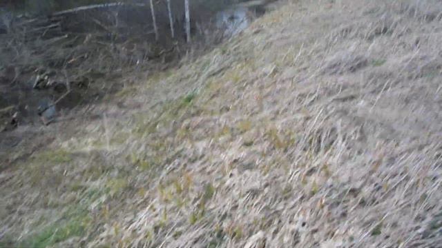 Вот моя деревня, вот мой дом родной... смотреть онлайн