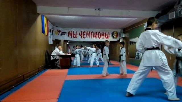 ТХЭКВОНДО ВТФ Аттестация СИНЕГО ПОЯСА КИШИНЁВ ЛИЦЕЙ ПЕТРУ МОВИЛЭ СПОРТ ШКОЛА №6 ЧАСТЬ 2 смотреть онлайн