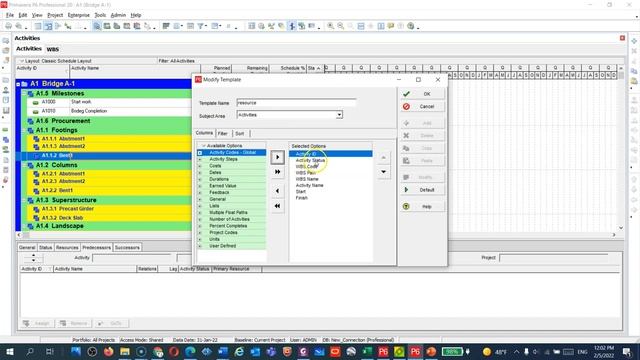 2- Advanced P6 Course - Adding and Importing Bridge Construction activities from Excel смотреть онлайн