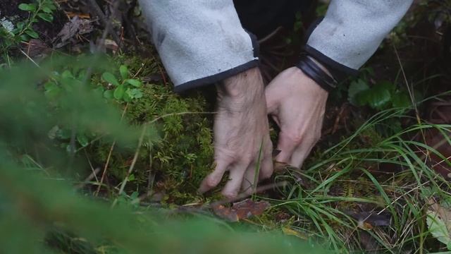 A Relaxing Day in my Cozy Forest Cabin Life - ASMR