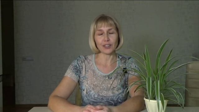 Планируем посадки в огороде и теплице. Файл для скачивания смотреть онлайн