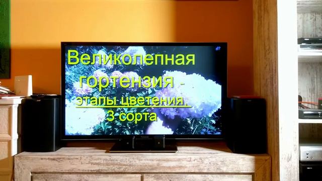 Сибирский Сад Людмила Борисовна Австрия-Россия Поздравление смотреть онлайн