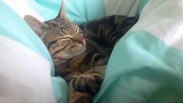 Eone = For Coco x смотреть онлайн