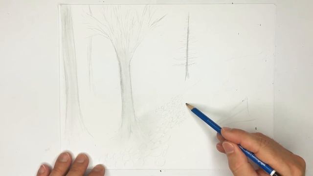 Sketching a Pathway with Trees (artistic sketch) смотреть онлайн