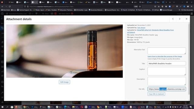 How to Get the URL of a PDF or Image in WordPress - Micro Tutorial смотреть онлайн