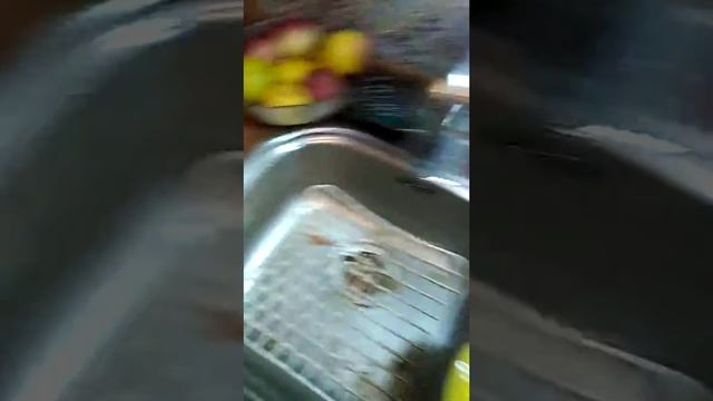 Умные технологии: новые приборы