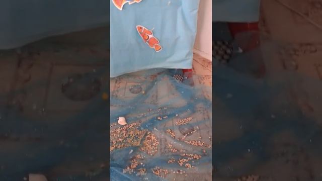 дәстүрден тыс сурет салу байқауы смотреть онлайн