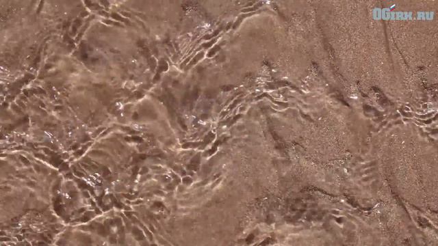 Вода на заливе Якоби и на Еловском пруду в Ангарске не соответствует гигиеническим нормативам смотреть онлайн