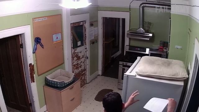 Epic Cat Fails Compilation | Funny Try Not to Laugh! FailArmy смотреть онлайн
