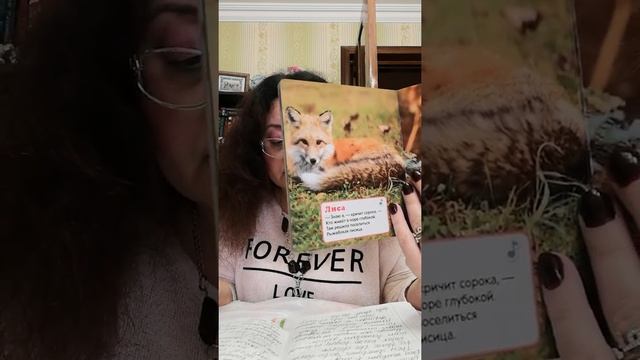 рассказ про лису смотреть онлайн