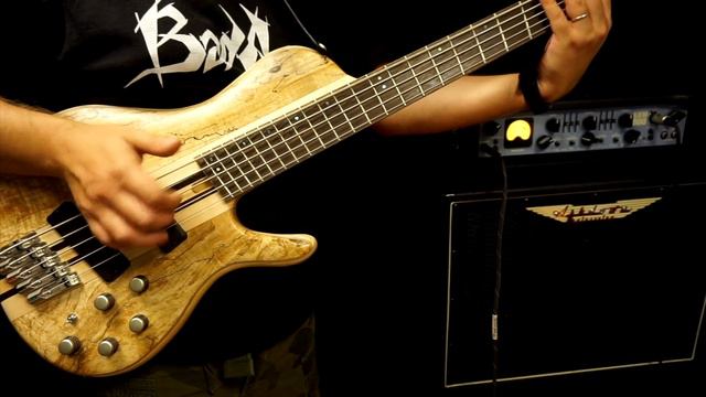Cort A5 Plus Single Cutaway MultiScale Bass (SCMS) - Video Review