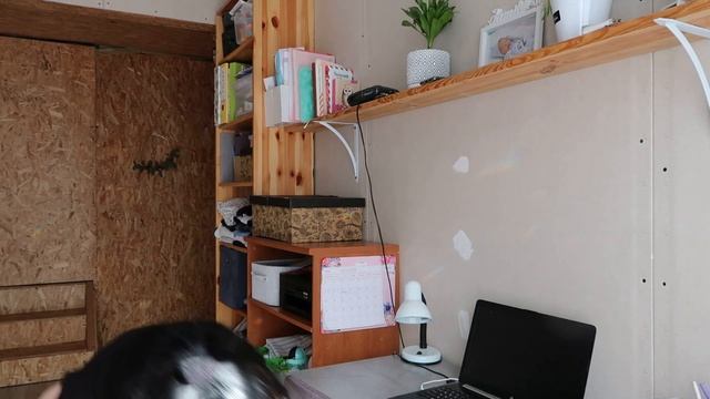 QUICK CLEAN WITH ME ❤️ EXTREME CLEANING MOTIVATION 2023! смотреть онлайн