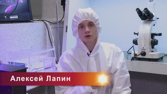 В МИРЕ ЖИВОТНЫХ смотреть онлайн