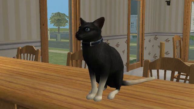 Animals - The Sims 2 смотреть онлайн