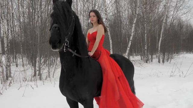 Friendship between horse and human. Дружба между лошадью и человеком 2022 смотреть онлайн