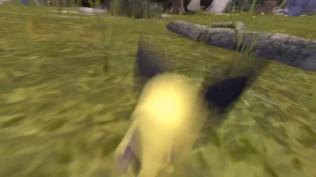 pichu pooping смотреть онлайн