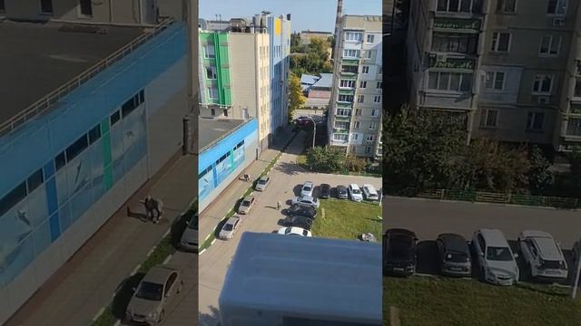 актива так и хочу смотреть онлайн