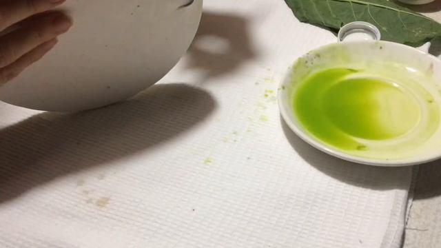 Ботанический барельеф смотреть онлайн