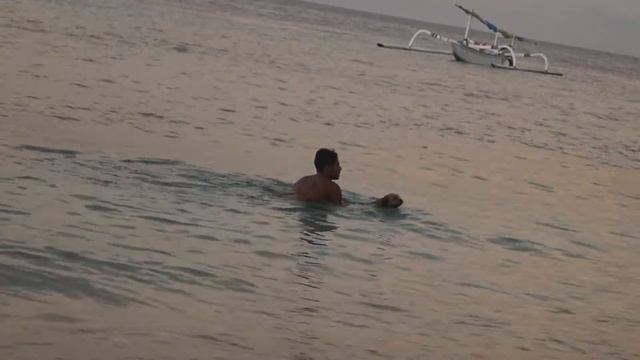 Как правильно бороться со злобными собаками смотреть онлайн