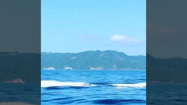 Доминикана ?горбатые киты смотреть онлайн