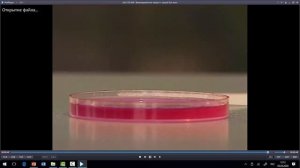 Химия, 9 класс: Металлы обобщение