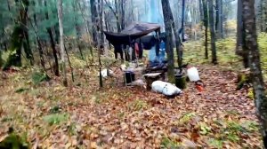 В тайгу на Сбор кедровой шишки или как заработать в Приморской тайге