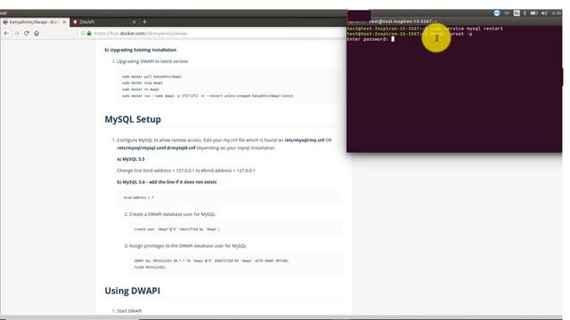 DWAPI Installation on Ubuntu environment using Docker смотреть онлайн