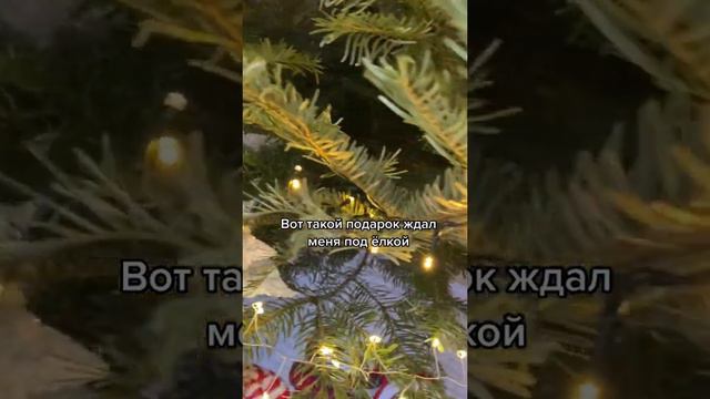 Чихуахуа и Новый год!!! Всех С РОЖДЕСТВОМ!!! Лучший мой подарочек-это ты!!!! смотреть онлайн