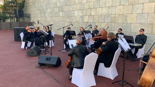 Иоганн Пахельбель «Канон Ре мажор» Art Music Orchestra смотреть онлайн