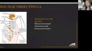 ПСИХОЛОГИЯ СТРЕССА: ТЕОРИЯ И ПРАКТИКА